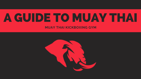 A Guide To Muay Thai Blog Cover